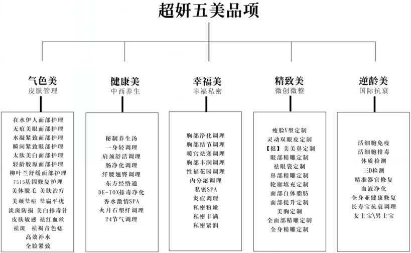 美容品牌战略,美容品牌战略案例,超妍美容品牌战略