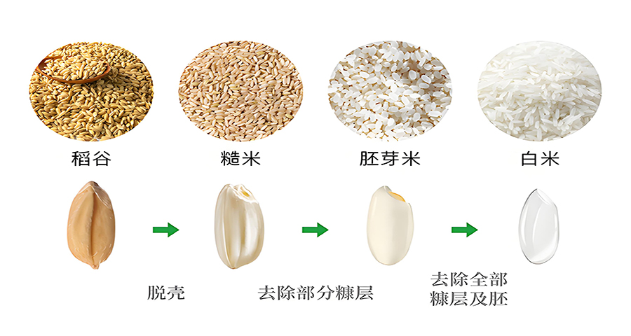 大米品牌战略分析